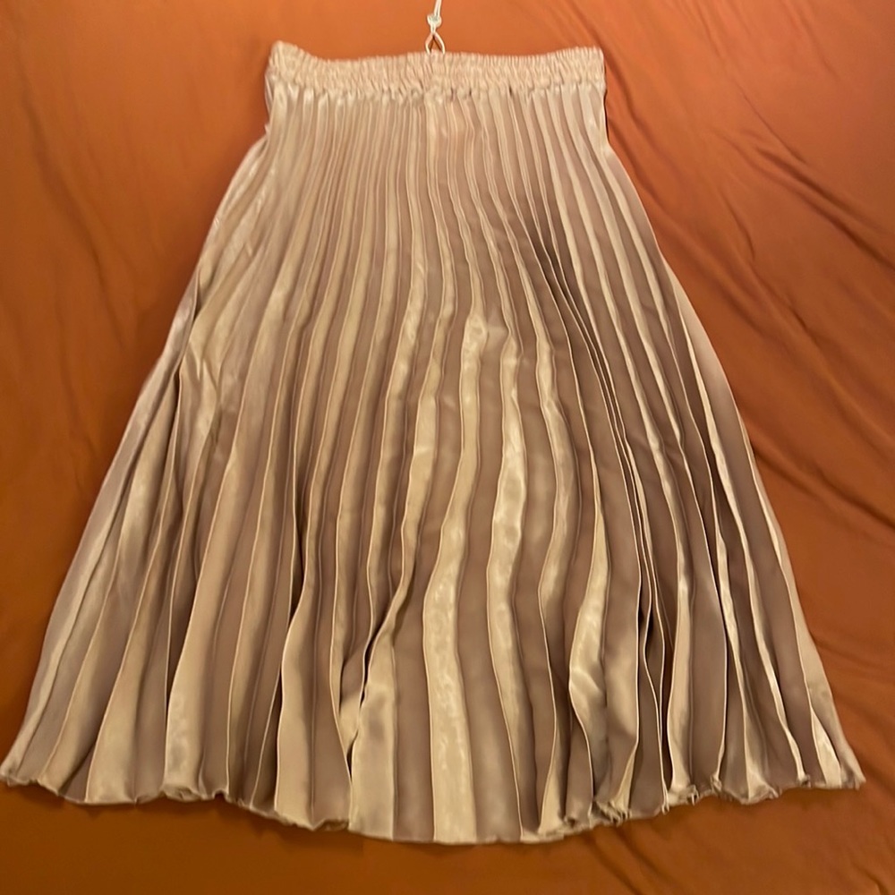 Stunning champagne pleaded skirt
